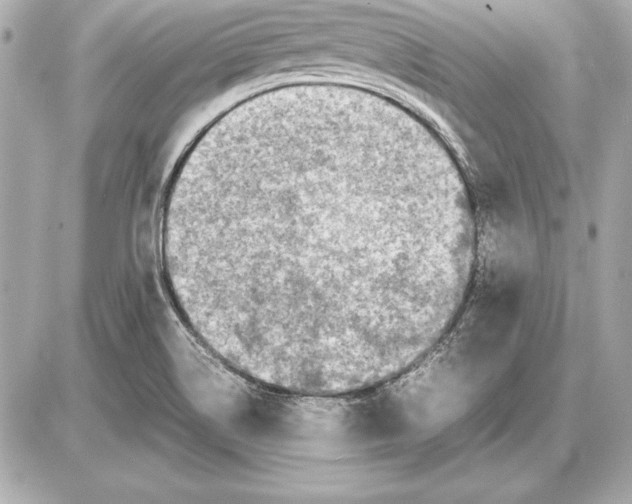 X0000085831514200704091644