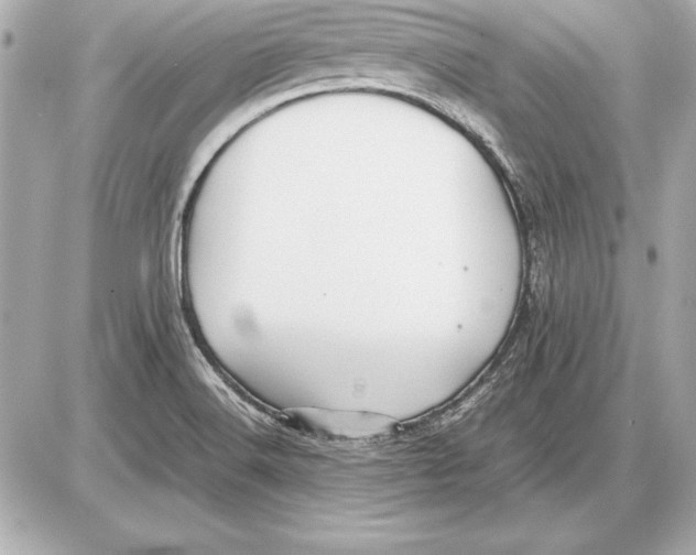 X0000085831516200704091645