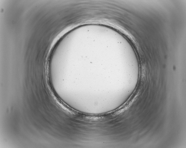 X0000085831517200704091645