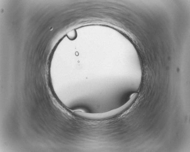 X0000085831518200704091645