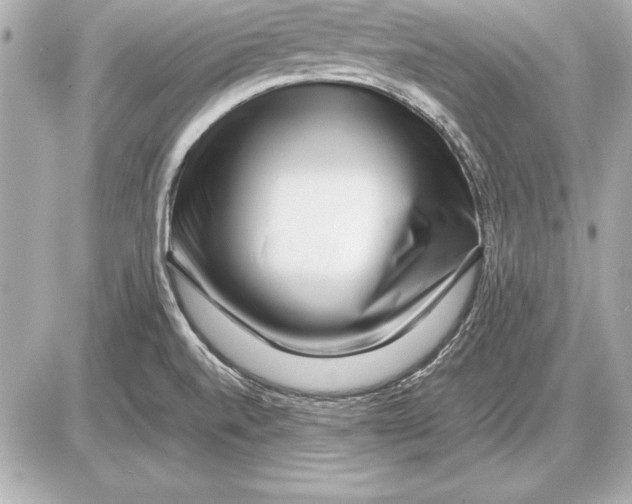 X0000085831520200704091645