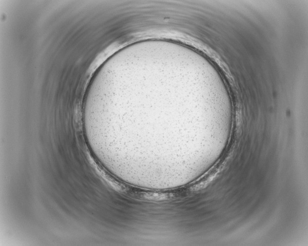 X0000085831521200704091645