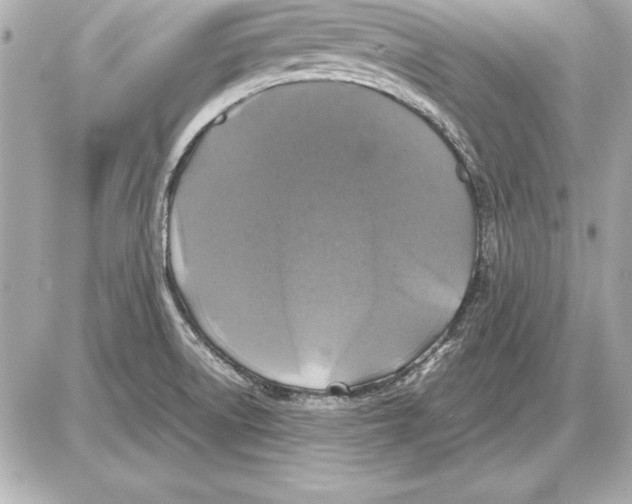 X0000085831522200704091645