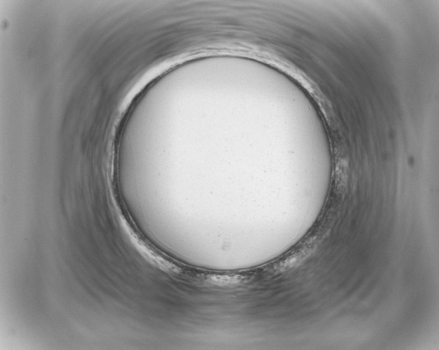 X0000085831523200704091645