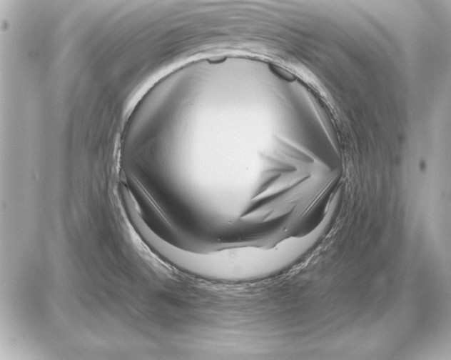 X0000085831524200704091645