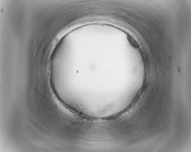 X0000085831526200704091645