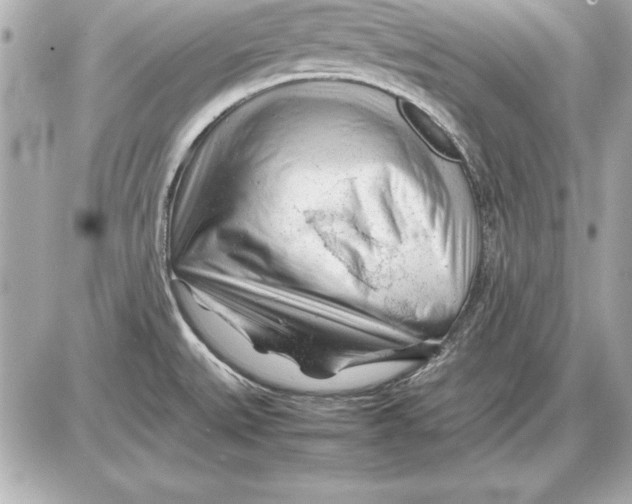 X0000085831527200704091645