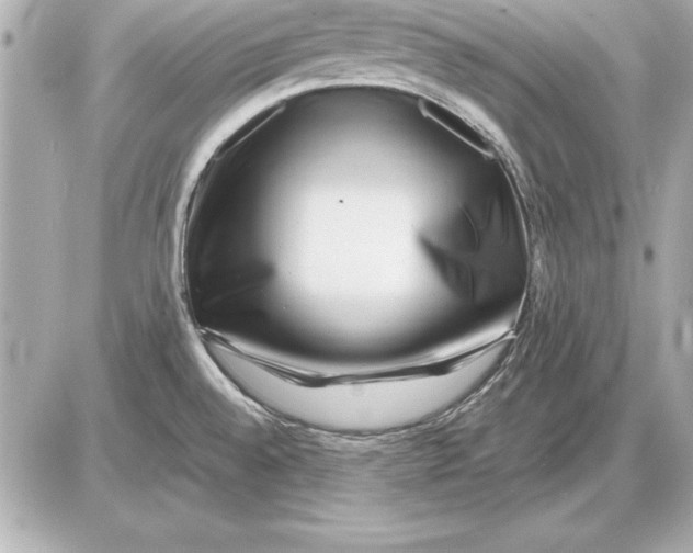 X0000085831528200704091645