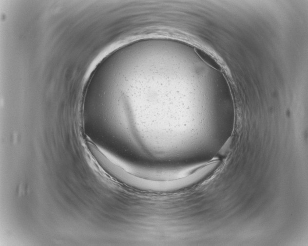 X0000085831530200704091645