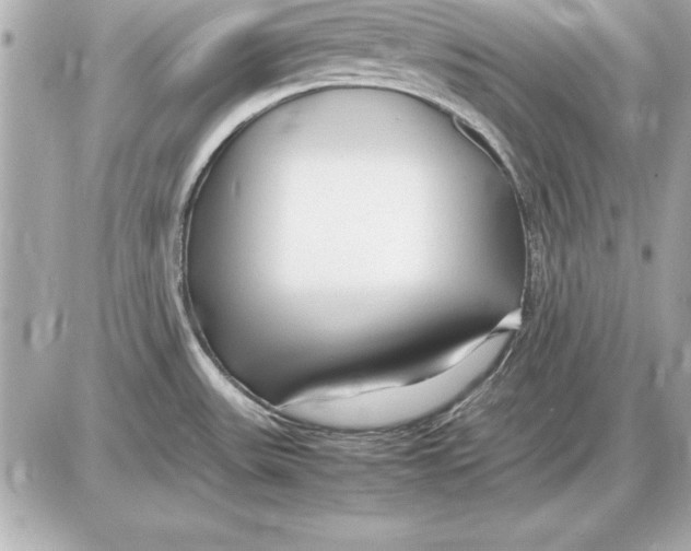 X0000085831531200704091645