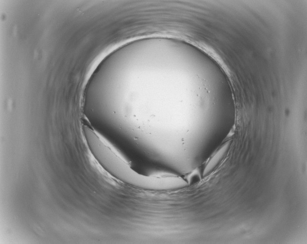 X0000085831532200704091645