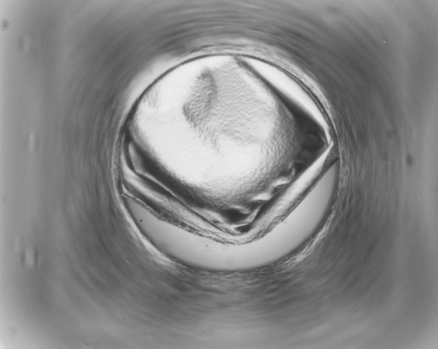 X0000085831533200704091645