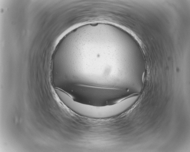 X0000085831534200704091645