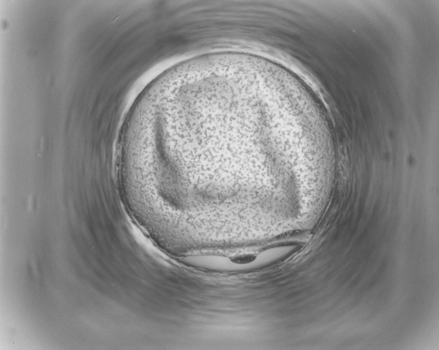 X0000085831535200704091645