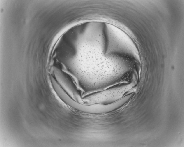 X0000085831536200704091645