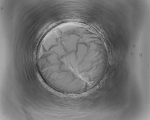 X0000085830002200704132049