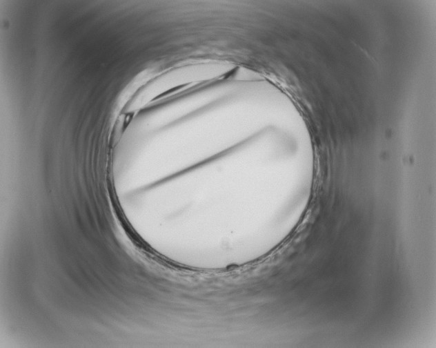 X0000085830003200704132049