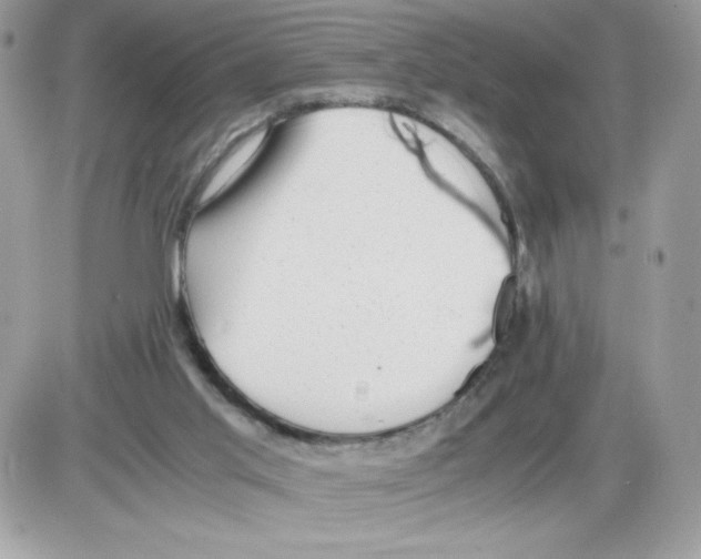 X0000085830013200704132049