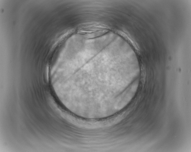 X0000085830014200704132049
