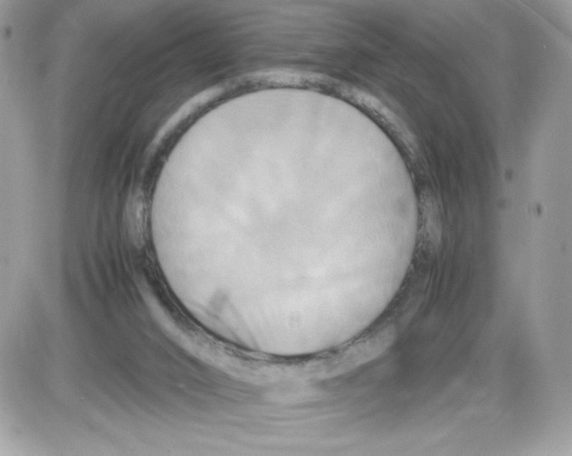 X0000085830016200704132049