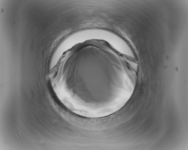 X0000085830019200704132049