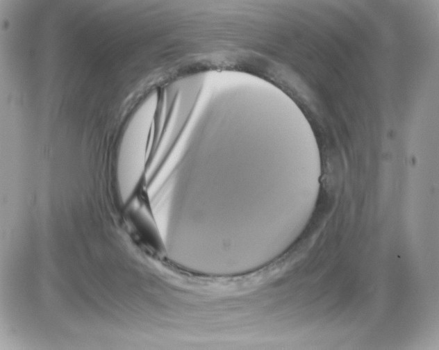 X0000085830023200704132049