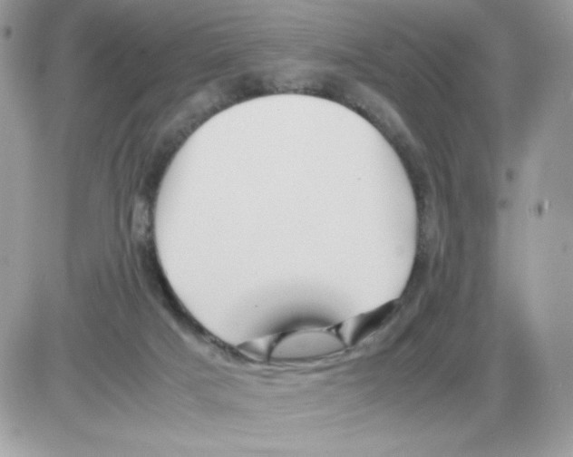 X0000085830025200704132049