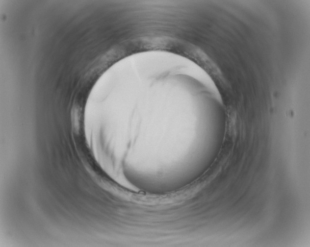 X0000085830026200704132049