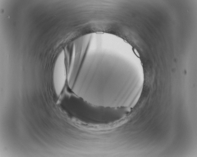 X0000085830027200704132049