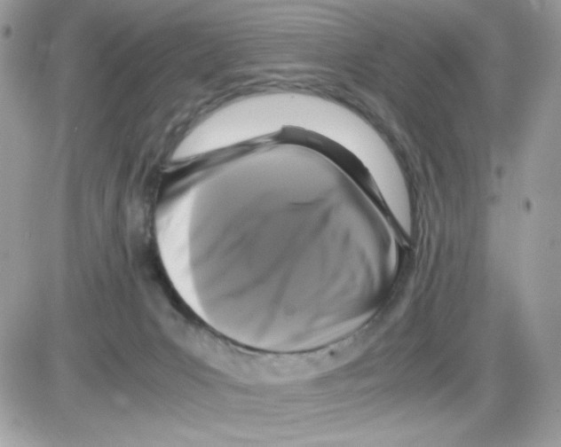 X0000085830031200704132049