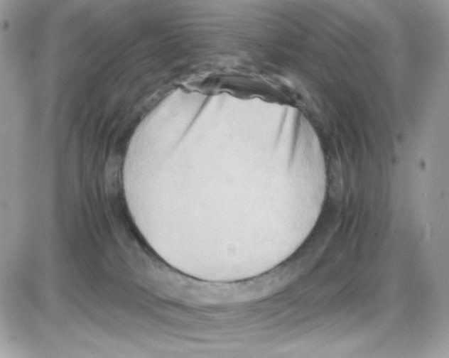 X0000085830034200704132049