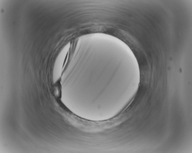 X0000085830035200704132049