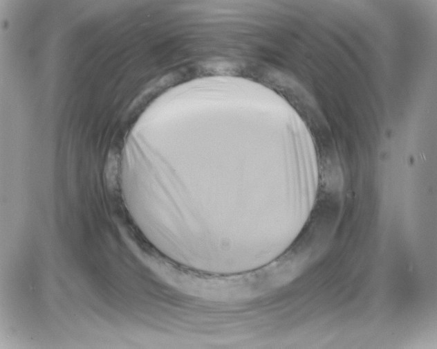 X0000085830036200704132049