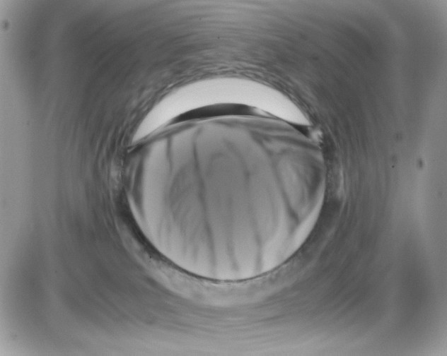 X0000085830039200704132049