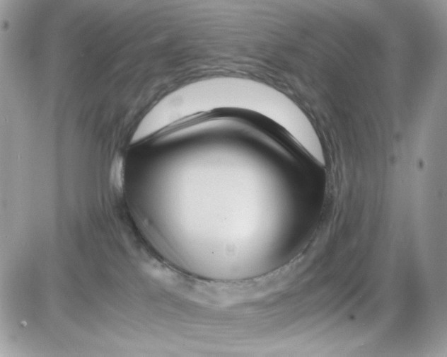 X0000085830041200704132049