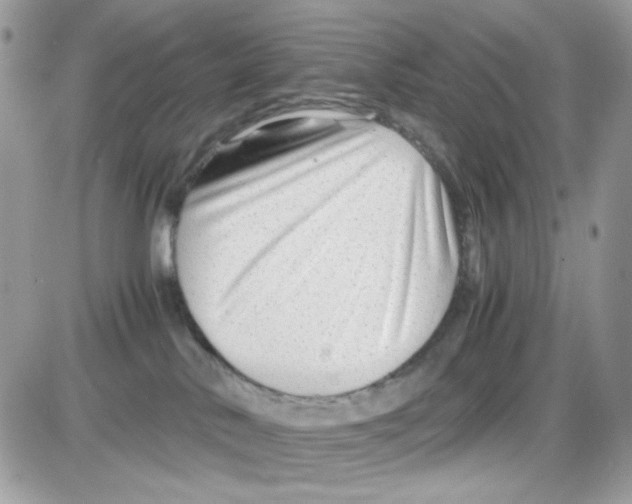 X0000085830042200704132049