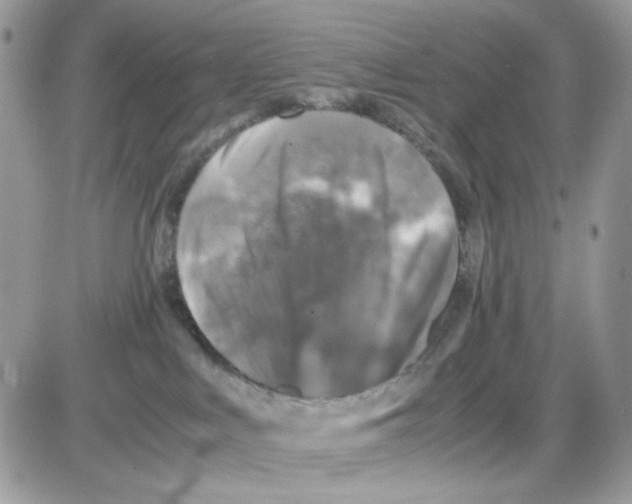 X0000085830043200704132049