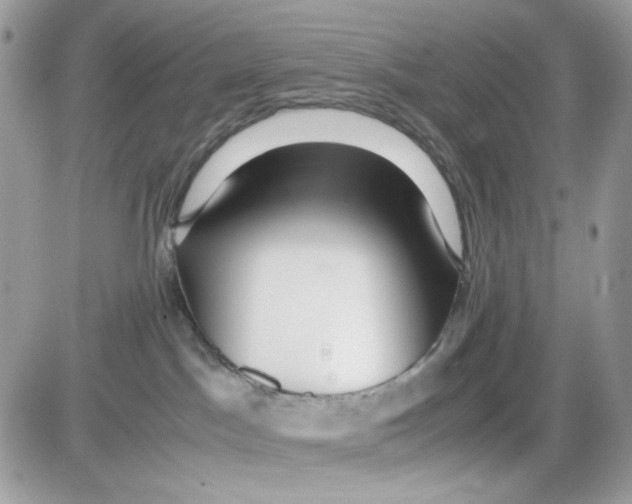X0000085830045200704132049