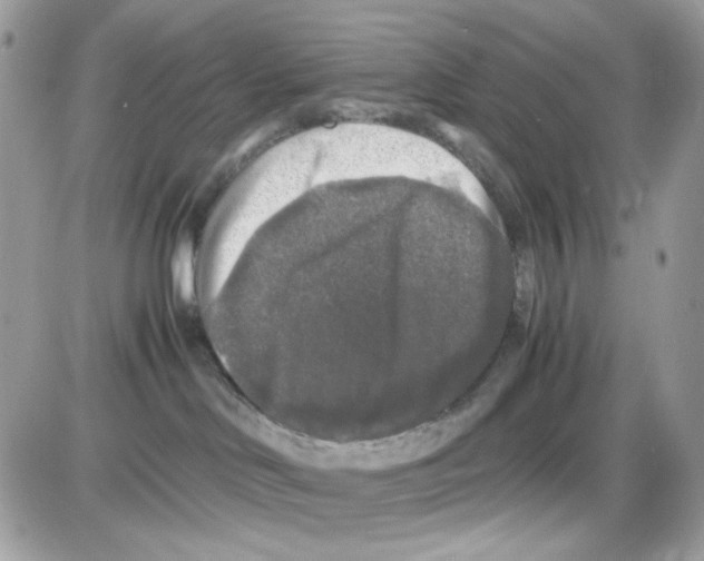 X0000085830046200704132049