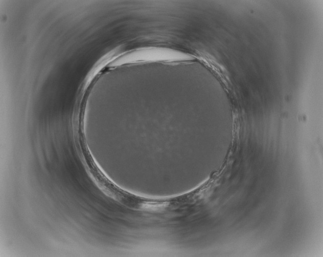 X0000085830051200704132048