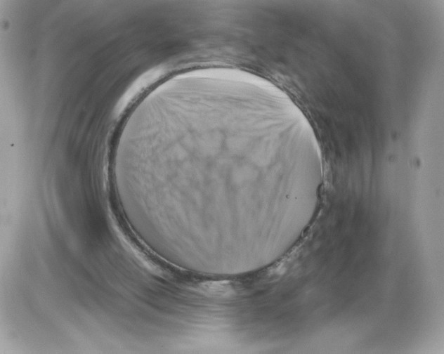 X0000085830054200704132048