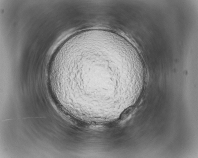 X0000085830055200704132048