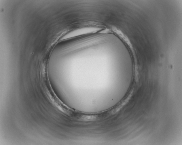 X0000085830057200704132048