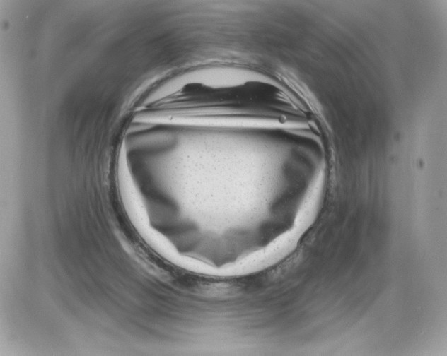 X0000085830058200704132048