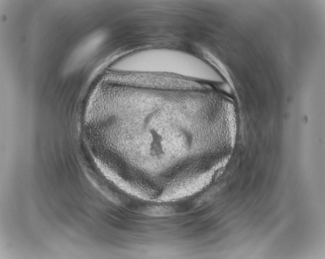 X0000085830059200704132048