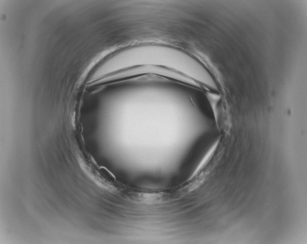 X0000085830060200704132048