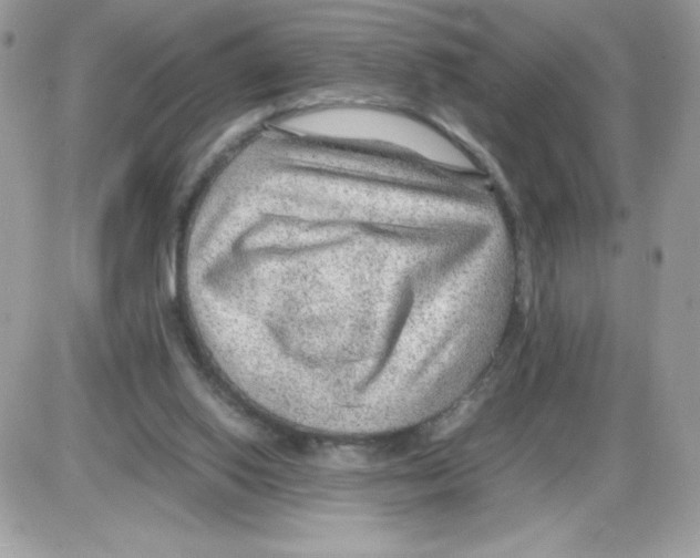 X0000085830062200704132048