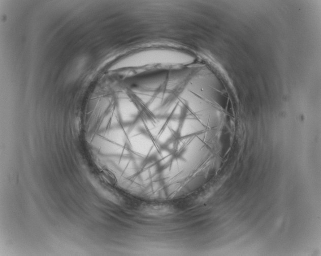 X0000085830063200704132048