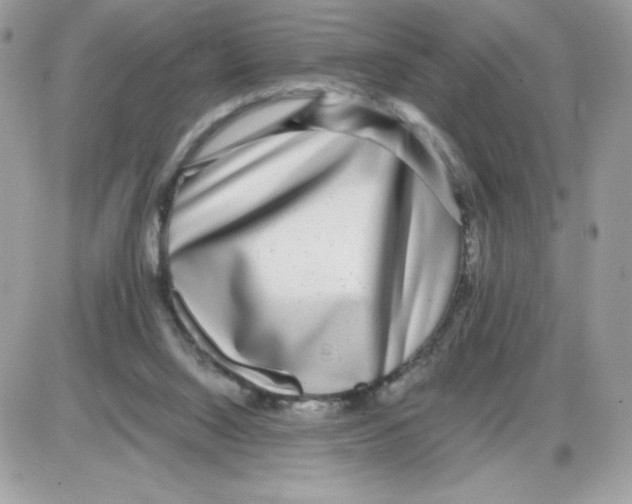 X0000085830064200704132048