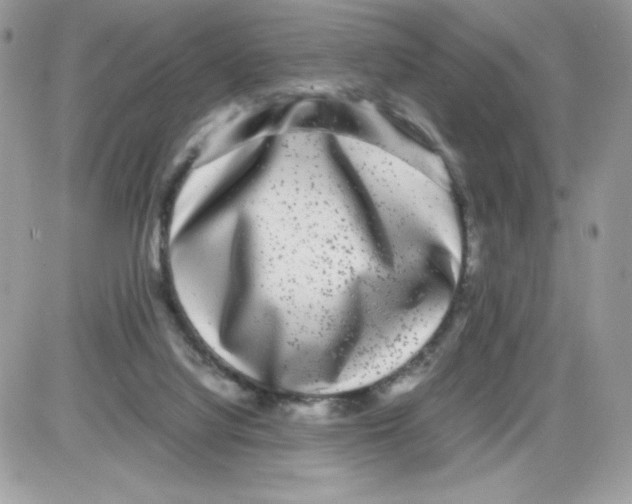X0000085830068200704132048